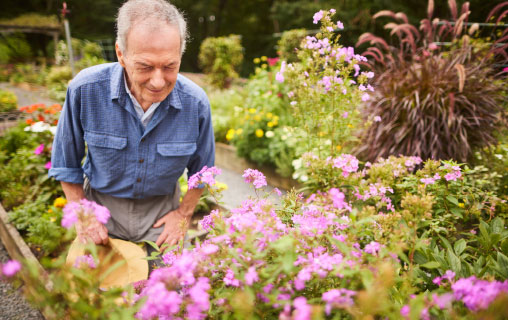 A man working in the garden