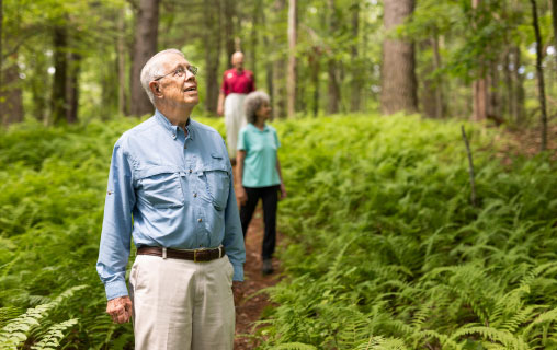 People hiking in the woods