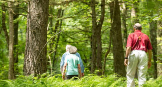 Couple walking in the outdoors