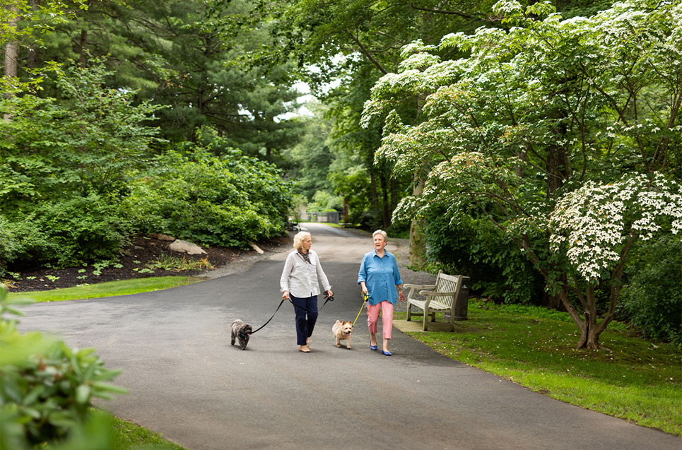 Two women walking their dogs